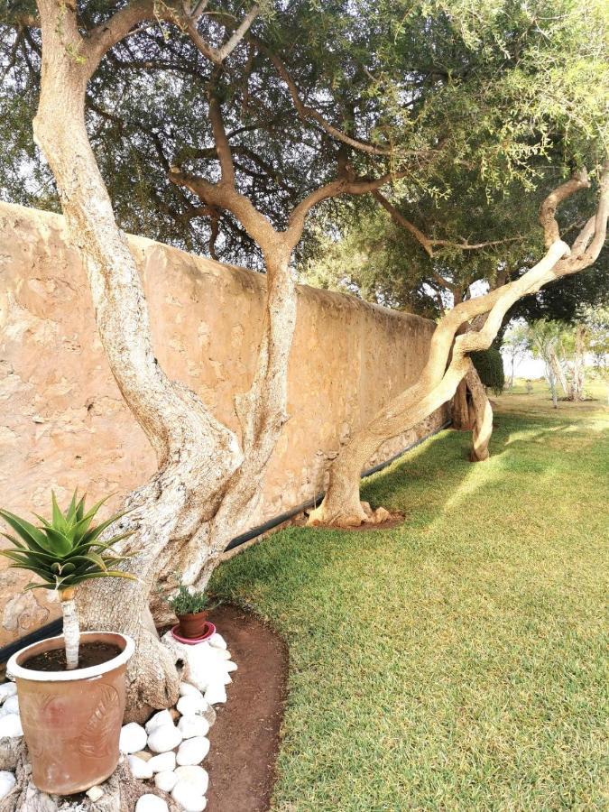 Maison Mimosa, Lovely 3 Bedroom Villa With A Large Pool Essaouira Eksteriør bilde