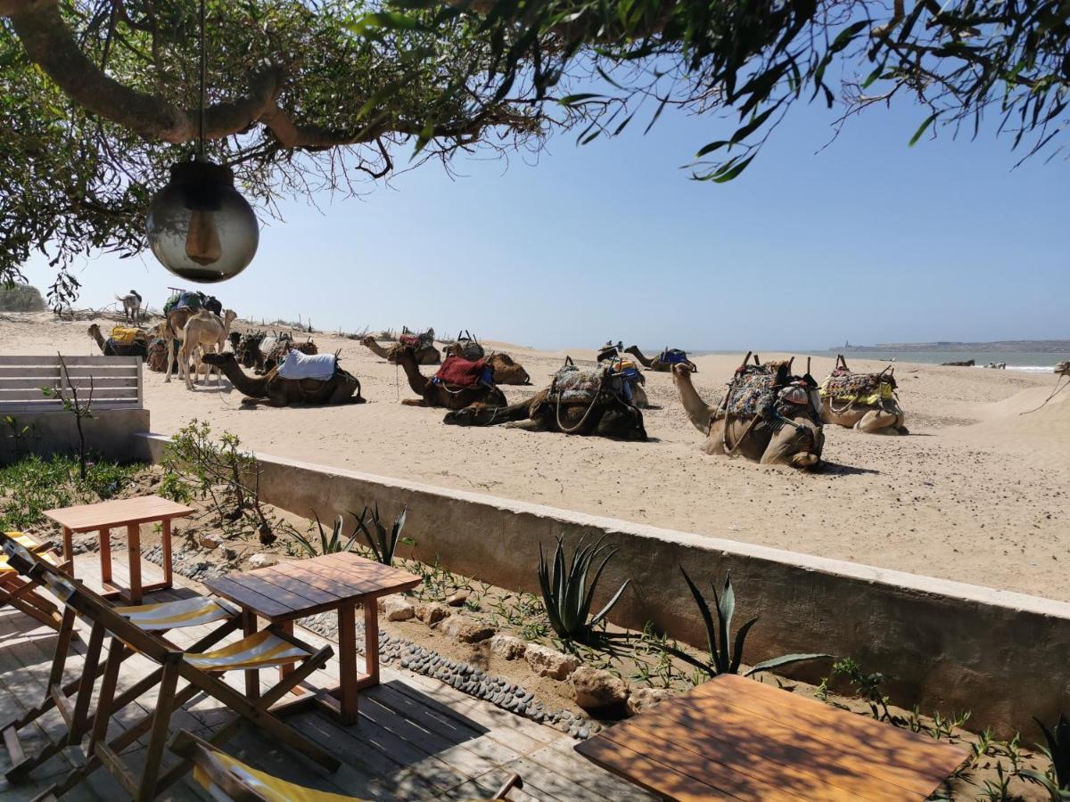 Maison Mimosa, Lovely 3 Bedroom Villa With A Large Pool Essaouira Eksteriør bilde
